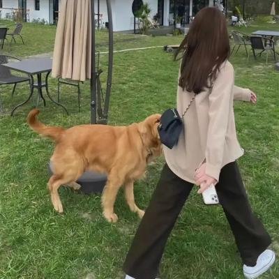 血色孤语